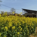 宝鸡旅游 缩略图 3