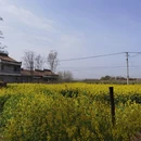 宝鸡旅游 缩略图 2