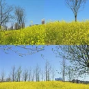 西安旅游 缩略图 3