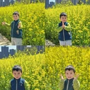 西安旅游 缩略图 4