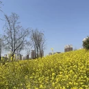 西安旅游 缩略图 6