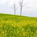 西安旅游 缩略图 2