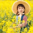 西安旅游 缩略图 9