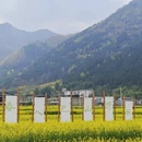 汉中旅游 缩略图 3