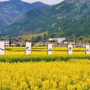 汉中旅游 缩略图 1