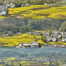 西安旅游 缩略图 6