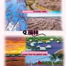 西安旅游 缩略图 3