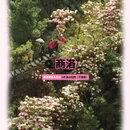 西安旅游 缩略图 4