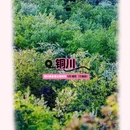西安旅游 缩略图 7