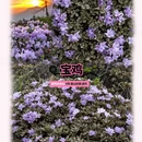 西安旅游 缩略图 9