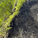 西安旅游 缩略图 4