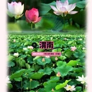 西安旅游 缩略图 5