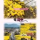西安旅游 缩略图 8