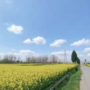 汉中旅游 缩略图 1
