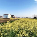 汉中旅游 缩略图 2