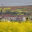 汉中旅游 缩略图 10