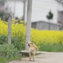汉中旅游 缩略图 11