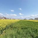 汉中旅游 缩略图 7