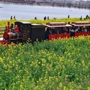 汉中旅游 缩略图 6