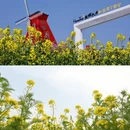 汉中旅游 缩略图 5