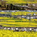 汉中旅游 缩略图 1