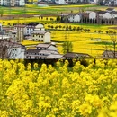 汉中旅游 缩略图 2