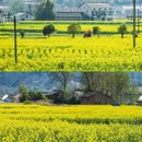 汉中旅游 缩略图 5
