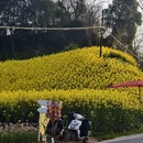 汉中旅游 缩略图 1