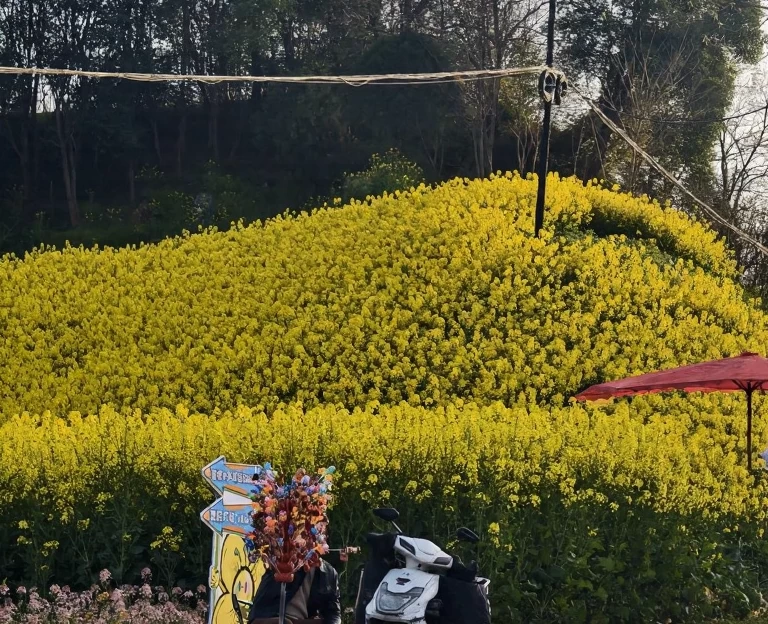 汉中旅游 1