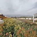 汉中旅游 缩略图 5