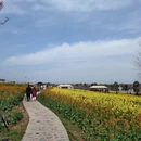 汉中旅游 缩略图 4
