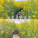 汉中旅游 缩略图 1