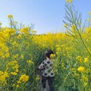 汉中旅游 缩略图 2