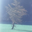 汉中旅游 缩略图 4