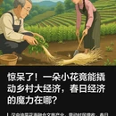汉中旅游 缩略图 1