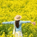 汉中旅游 缩略图 4
