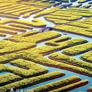黄山旅游 缩略图 7