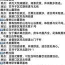 大连旅游 缩略图 4
