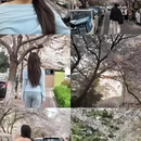 青岛旅游 缩略图 1