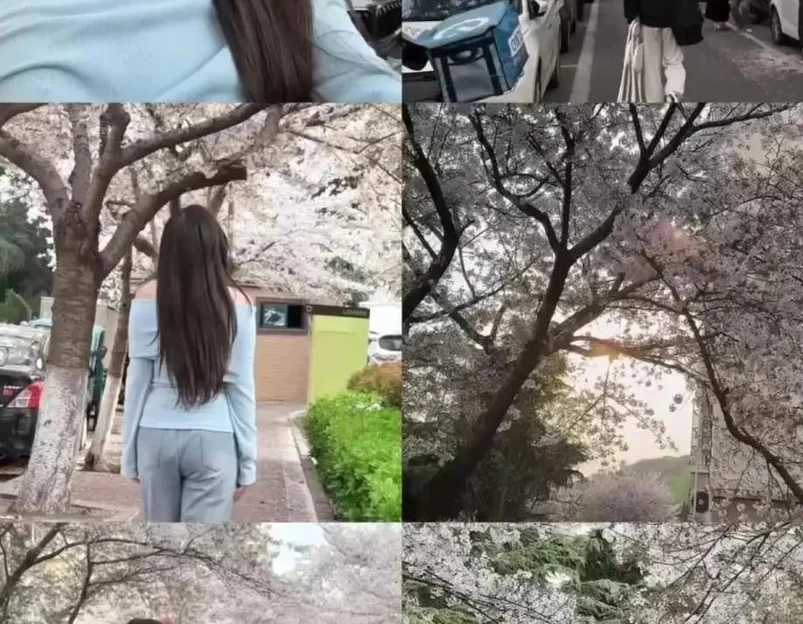 青岛旅游 1
