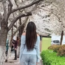 青岛旅游 缩略图 5