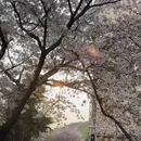青岛旅游 缩略图 9