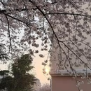 青岛旅游 缩略图 7