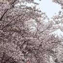 青岛旅游 缩略图 6