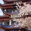 无锡旅游 缩略图 1