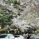 青岛旅游 缩略图 8