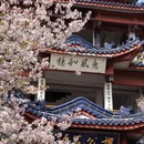 无锡旅游 缩略图 2