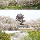 无锡旅游 缩略图 7