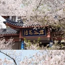无锡旅游 缩略图 14