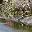 北京旅游 缩略图 1